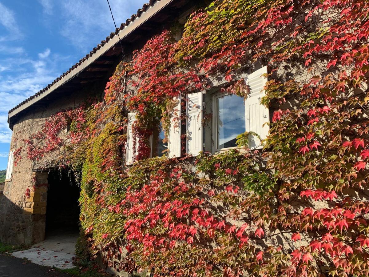 Le Gite De Buffetieres Saint-Romain-de-Popey 외부 사진